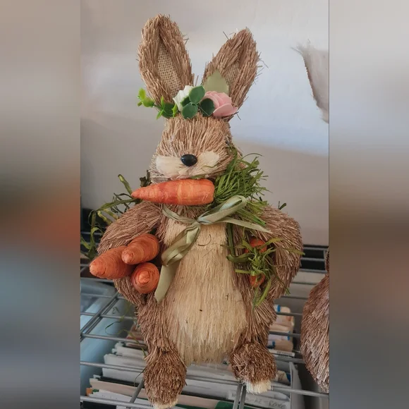 Michaels Sisal Bunny by Ashland Set/2 Carrot & Egg - White Fake Fur - EUC - Picture 5 of 6